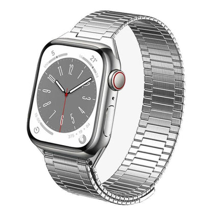 iBandGear Magnetic Steel Loop Band for Apple Watch - Silver